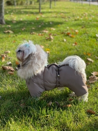Комбинезон Шейх на силиконе (мальчик) -  Одежда для собак -   Материал: Силикон  