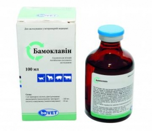 Бамоклавин 100мл baVET Турция - Антибиотики для собак