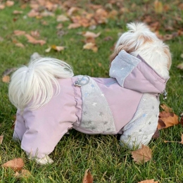 Комбинезон Тейси силикон (девочка), XXS -  Зимняя одежда для собак 