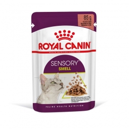 Royal Canin Sensory Smell in Jelly 85г Корм для привередливых котов в желе -  Корм для бенгальских котов -    