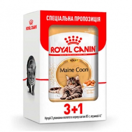 Maine Coon Adult консервований корм для дорослих котів породи Мейн-Кун (шматочки в соусі) -  Акції -    