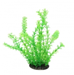 Растение для аквариума 081В, 8х6х25 см - Similar products