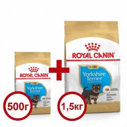Акция Сухой корм Royal Canin Yorkshire Terrier Puppy 1,5кг + 500г в подарок - Акция Роял Канин