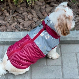 Жилет Бетті велсофт (дівчинка) -  Одяг для собак -   Розмір одягу XXS  
