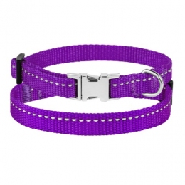 Ошейник ACTIVE для собак мелких пород нейлоновый со светоотражением и металлической пряжкой Фиолетовый -  Ошейники для собак BronzeDog     