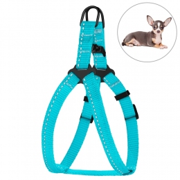 Шлея для собак BronzeDog голубая пластиковая фастекс 1222 68Т -  Шлеи для собак -   Возраст: Взрослые  
