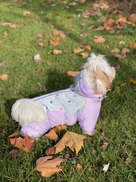 Комбинезон Хрусталь на силиконе с мехом (девочка) -  Одежда для собак -   Для кого: Девочка  