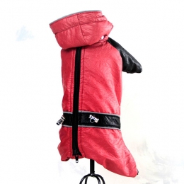 Комбинезон Формула велсофт без силикона (девочка) - Одежда для собак