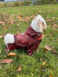 Комбинезон Принцесса на силиконе (девочка) -  Зимняя одежда для собак 