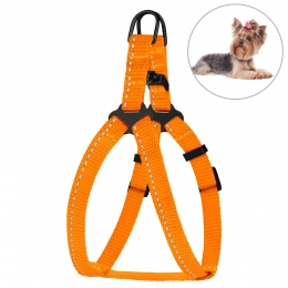 Шлея для собак BronzeDog оранжевая пластиковый фастекс 1304 68Т -  Амуниция для собак -   Материал: Нейлон  