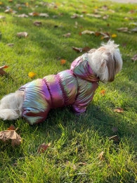 Комбинезон Медея на силиконе (девочка) -  Одежда для собак -   Материал: Силикон  