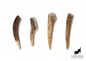 Ріг оленя Lucky Dogs м'який - Similar products