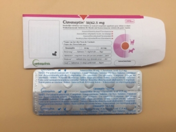 Клавасептин в таблетках №11 -  Антибиотики для собак - Vetoquinol ( Ветокинол )   