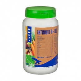 Інтровіт А+ВП 1кг порошок -  Ветпрепарати для сільгосп тварин - Интерхими-Диавакс     