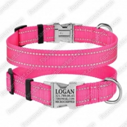 Ошейник ACTIVE нейлоновый со светоотражением и металлической пряжкой Розовый -  Ошейники для собак -   Размер: Средние  