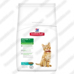 Hills SP Kitten сухой корм для котят с тунцом - Корм для беременных кошек