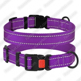 Ошейник ACTIVE нейлоновый со светоотражением Фиолетовый -  Ошейники для собак -   Возраст: Взрослые  