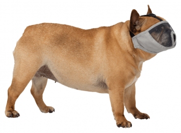 Намордник для брахицефалов тканевый серый, Трикси - Амуниция для собак