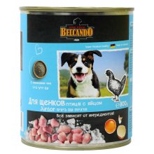 Belcando Junior консерва для щенков Мясо курицы с яйцом -  Влажный корм для щенков 