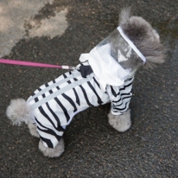 Дождевик Зебра прозрачный капюшон с ушками - Similar products