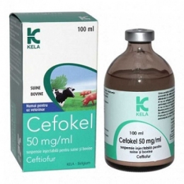 Цефокел 5% антибіотик ін'єкція цефтіофур Кела, Бельгія -  Ветпрепарати для сільгосп тварин - Kela     
