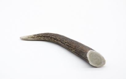 Ріг оленя Lucky dogs Твердий. -  Ласощі для собак -   Інгредієнт Оленина  