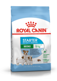 Royal Canin MINI STARTER для для годуючих сук і цуценят дрібних порід -  Сухий корм для собак -   Вік Перший прикорм  