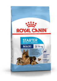 Royal Canin MAXI STARTER для годуючих сук і цуценят великих порід -  Сухий корм для цуценят 