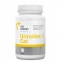 VetExpert UrinoVet Cat (УриноВет Кет) 45 капс. пищевая добавка для мочевой системы кошек