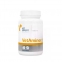 VetExpert VetAminex Витаминно-минеральный комплекс для кошек и собак, 60 шт