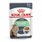 Royal Canin Fhn wet digest sensitive 9 + 3шт, по 85г корм для кошек 11490 Акция