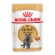 9 + 3 шт Royal Canin FBN british short ad консерви для кішок 85 г 11476 акція