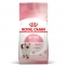 АКЦІЯ Royal Canin Kitten сухий корм для кошенят 2 кг + 12 паучів + схема корму