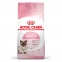 Royal Canin Mother and Babycat сухой корм для котят и кошек в период беременности и лактации