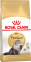Сухой корм для кошек персидской породы Royal Canin Persian Adult