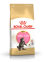 Royal Canin MAINE COON KITTEN сухой корм для котят породы Мейн-кун